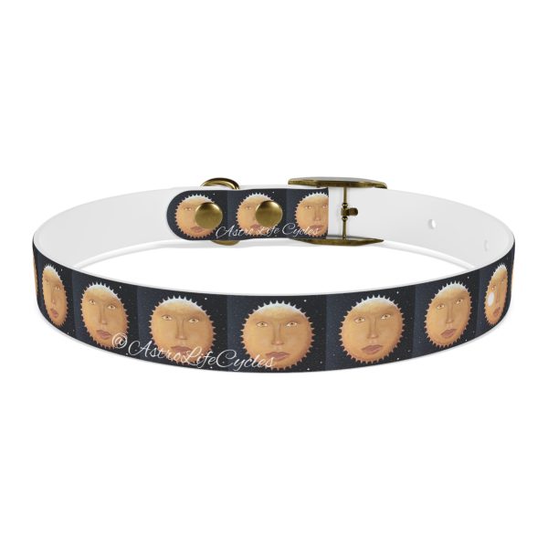 SUNNY GLOW Pet Collar - Image 11