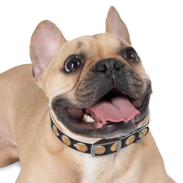 SUNNY GLOW Pet Collar - Image 6