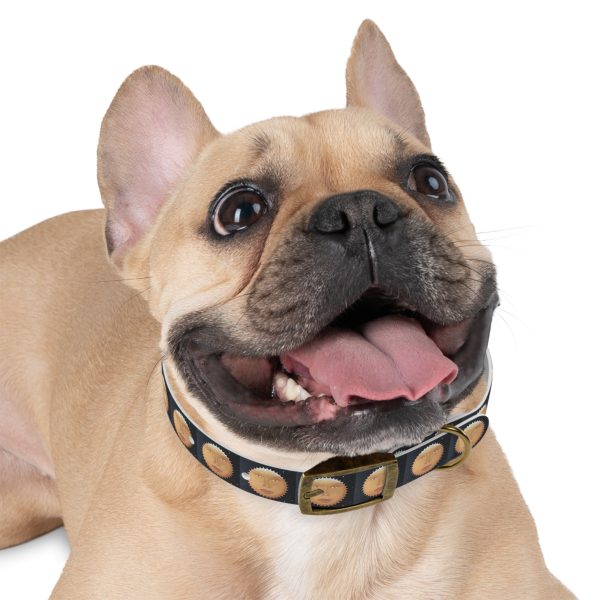 SUNNY GLOW Pet Collar - Image 12