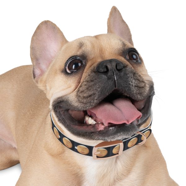 SUNNY GLOW Pet Collar - Image 9