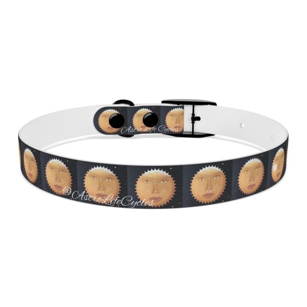SUNNY GLOW Pet Collar - Image 3