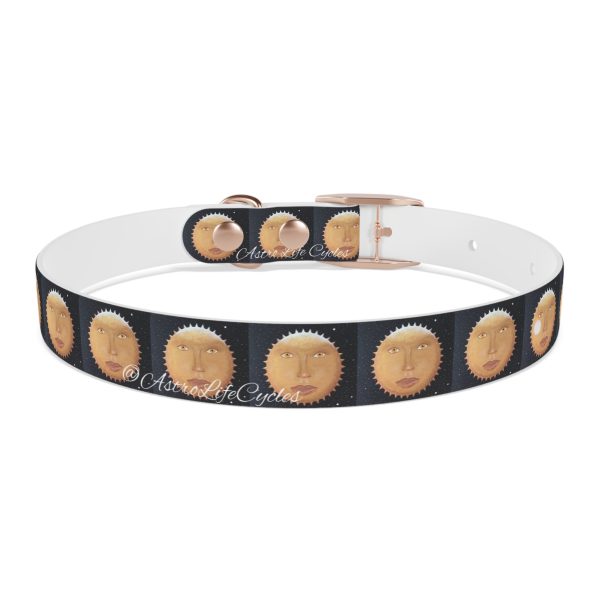 SUNNY GLOW Pet Collar - Image 8