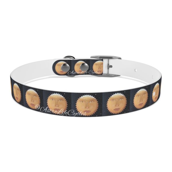 SUNNY GLOW Pet Collar - Image 5
